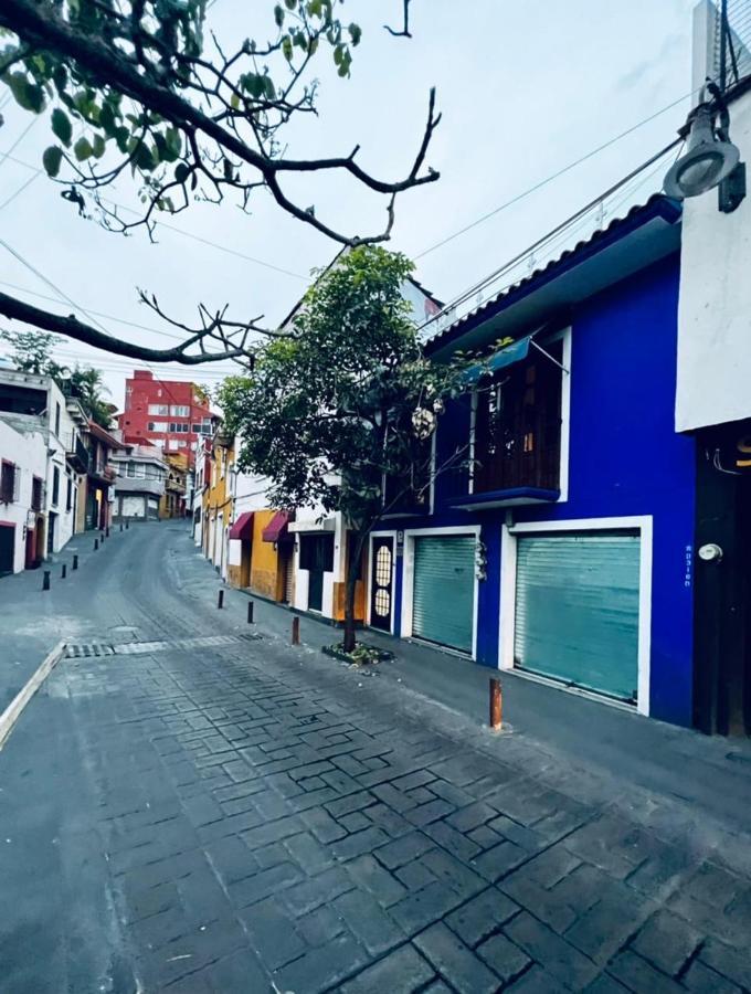Hotel Casa Frida クエルナバカ エクステリア 写真